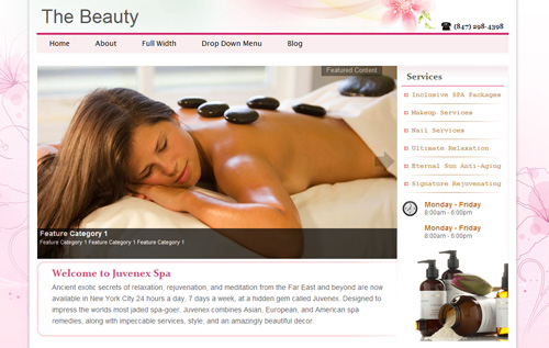 the-beauty-cms-wordpress-theme